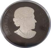 20 Dollars - Elizabeth II The Cunning Cougar obverse image