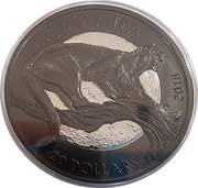 20 Dollars - Elizabeth II The Cunning Cougar reverse image