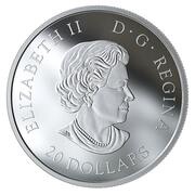 20 Dollars - Elizabeth II Light Pillars: Sky Wonders obverse image