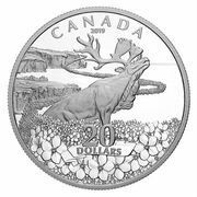 20 Dollars - Elizabeth II Forget-Me-Not, Canada, 2019 reverse image