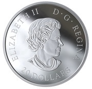 20 Dollars - Elizabeth II Steve: Sky wonders obverse image
