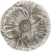 20 Dollars - Elizabeth II Remembrance day, Canada, 2020 reverse image