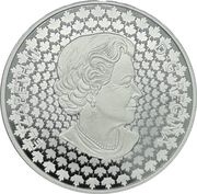 20 Dollars - Elizabeth II Black Loyalists obverse image