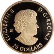 20 Dollars In the name of Elizabeth II; Remembrance Day obverse image