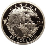 25 Dollars - Elizabeth II The Beaver, Canada, 2013 reverse image