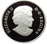 25 Dollars - Elizabeth II The Polar Bear obverse image
