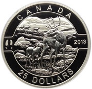25 Dollars - Elizabeth II Caribou, Canada, 2013 reverse image