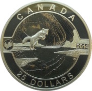 25 Dollars - Elizabeth II Arctic Fox and Northern Lights, Canada, 2014 reverse image