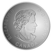 25 Dollars - Elizabeth II Canadian Baseball obverse image