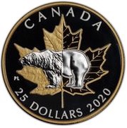 25 Dollars - Elizabeth II Polar Bear; Piedfort, Canada, 2020 reverse image