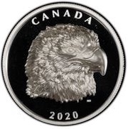 25 Dollars - Elizabeth II Proud Bald Eagle, Canada, 2020 reverse image