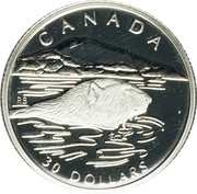 30 Dollars - Elizabeth II Polar bear; platinum, Canada, 1990 reverse image