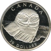 30 Dollars - Elizabeth II Snowy Owl; platinum reverse image