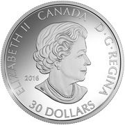 30 Dollars - Elizabeth II Canadian Goose obverse image