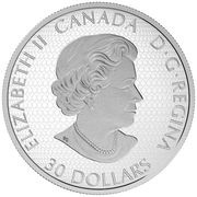 30 Dollars - Elizabeth II Star Trek obverse image