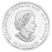 30 Dollars - Elizabeth II Snowy Owl obverse image