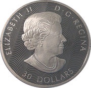30 Dollars - Elizabeth II Polar Bears obverse image