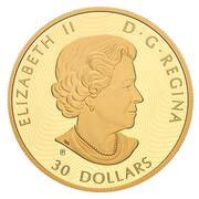 30 Dollars - Elizabeth II Snowy Owl and Greater White-Fronted Geese obverse image