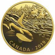 30 Dollars - Elizabeth II Orca and Sea Lions, Canada, 2019 reverse image