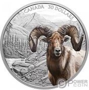 30 Dollars - Elizabeth II Bighorn Sheep, Canada, 2020 reverse image