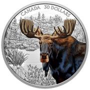 30 Dollars - Elizabeth II Moose, Canada, 2020 reverse image