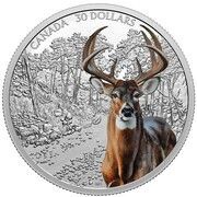 30 Dollars - Elizabeth II White-Tailed Deer, Canada, 2021 reverse image