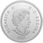 30 Dollars - Elizabeth II Bison obverse image