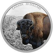 30 Dollars - Elizabeth II Bison, Canada, 2021 reverse image