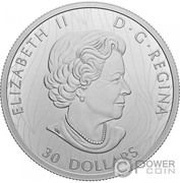30 Dollars - Elizabeth II Bison obverse image