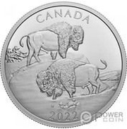 30 Dollars - Elizabeth II Bison, Canada, 2022 reverse image