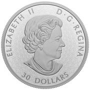 30 Dollars - Elizabeth II Royal Agricultural Winter Fair obverse image