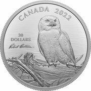 30 Dollars - Elizabeth II Snowy Owl on Driftwood, Canada, 2022 reverse image