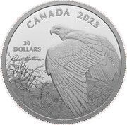 30 Dollars In the name of Elizabeth II; Vantage Point – Bald Eagle, Canada, 2023 reverse image