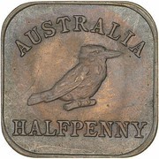 ½ Penny - George V Kookaburra Pattern - Type 2 reverse image