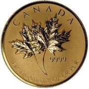 50 Dollars - Elizabeth II Fractional GML; 1 oz, Canada, 2013 reverse image