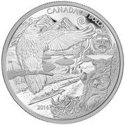 50 Dollars - Elizabeth II The Legend Of The Spirit Bear, Canada, 2014 reverse image