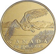 50 Dollars - Elizabeth II Snowy Owl, Canada, 2014 reverse image