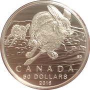 50 Dollars - Elizabeth II Hare, Canada, 2016 reverse image