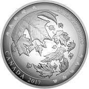 50 Dollars - Elizabeth II Maple Leaves in Motion, Canada, 2017 reverse image