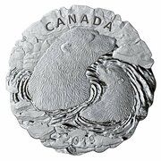 50 Dollars - Elizabeth II Polar Bear, Canada, 2019 reverse image