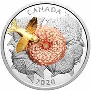 50 Dollars - Elizabeth II The Hummingbird and the Bloom, Canada, 2020 reverse image