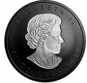 50 Dollars - Elizabeth II Incuse Silver Maple Leaf obverse image
