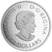 50 Dollars - Elizabeth II Canadian Ghost Ship obverse image