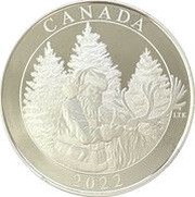50 Dollars - Elizabeth II Magic of the Season, Canada, 2022 reverse image