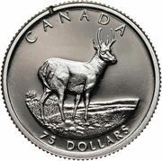75 Dollars - Elizabeth II Pronghorn Antelope; platinum, Canada, 2000 reverse image