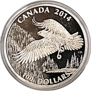 100 Dollars - Elizabeth II Bald Eagle, Canada, 2014 reverse image