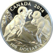 100 Dollars - Elizabeth II Bighorn Sheep, Canada, 2014 reverse image