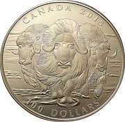 100 Dollars - Elizabeth II Muskox, Canada, 2015 reverse image