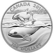 100 Dollars - Elizabeth II Orca Whale, Canada, 2016 reverse image