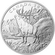 100 Dollars - Elizabeth II The Elk, Canada, 2016 reverse image